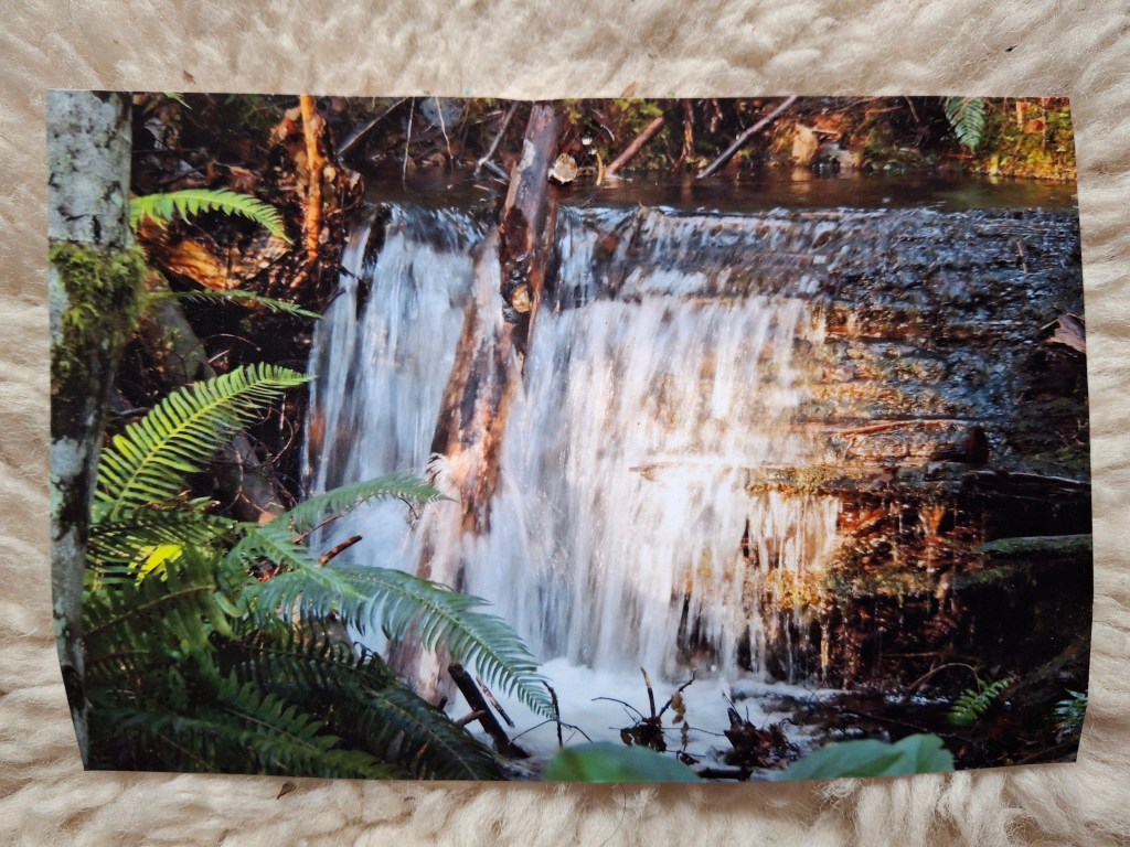 The Moment Everything Turned to Look at&nbsp;Me